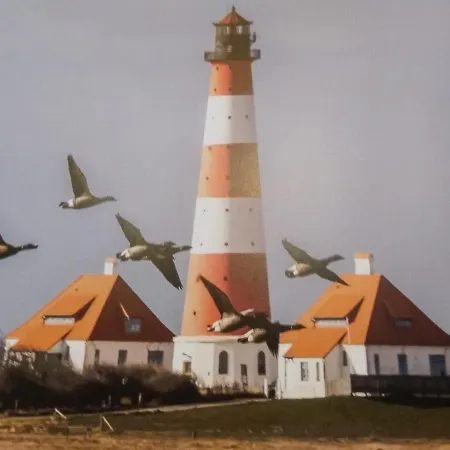 Ferienwohnung-treeneblick *