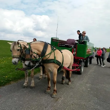 Ferienwohnung-treeneblick Apartment Schwabstedt