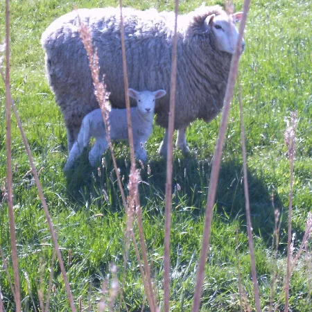Ferienwohnung-treeneblick Apartment Schwabstedt