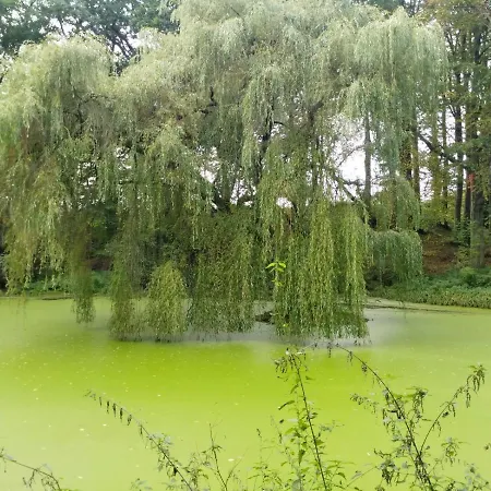 Ferienwohnung-treeneblick * Schwabstedt