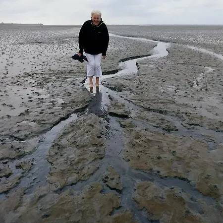 Ferienwohnung-treeneblick