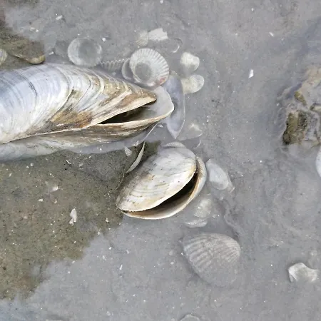 Ferienwohnung-treeneblick Apartment Schwabstedt