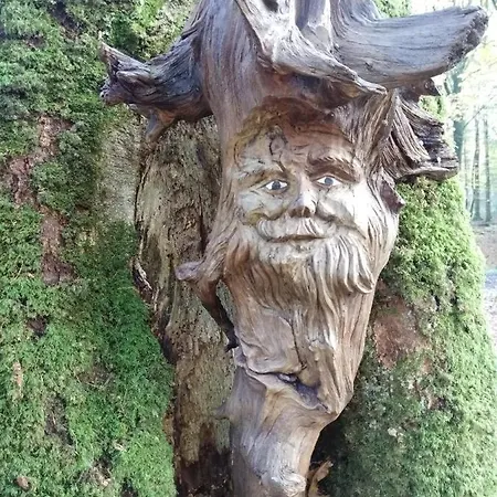 Ferienwohnung-treeneblick