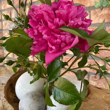 Ferienwohnung-treeneblick Apartment *