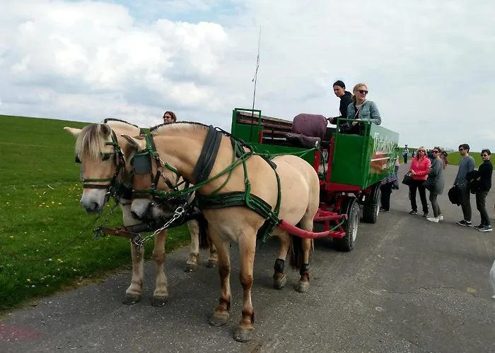 Ferienwohnung-treeneblick شقة Schwabstedt