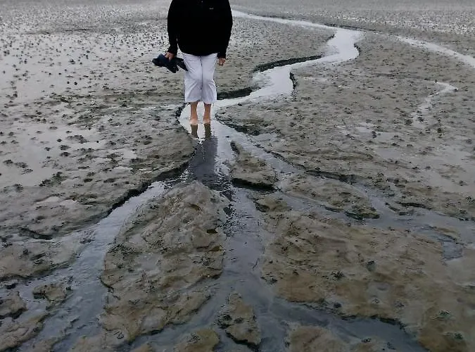 Ferienwohnung-treeneblick