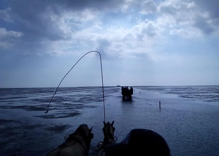 شقة Ferienwohnung-treeneblick