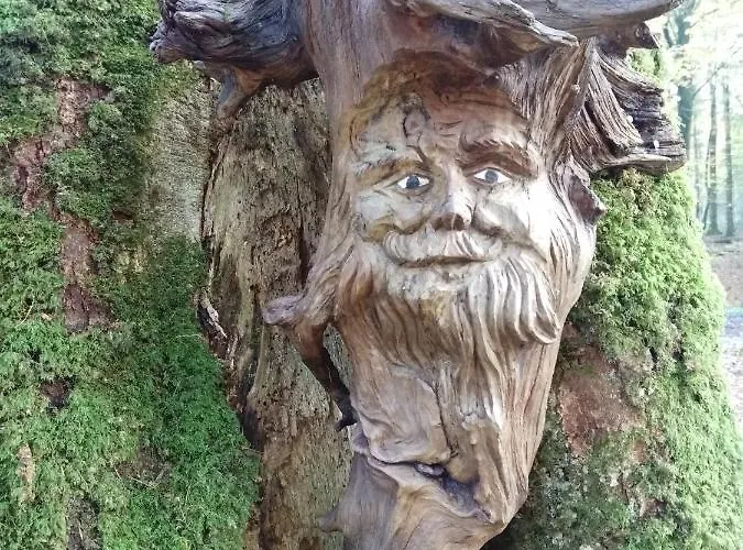 Ferienwohnung-treeneblick