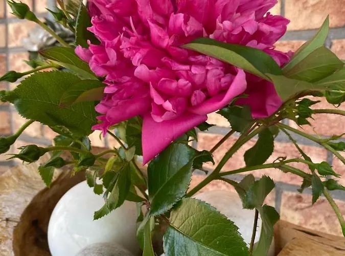 Ferienwohnung-treeneblick شقة *